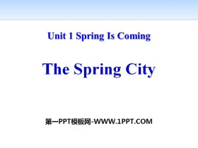 The Spring CitySpring Is Coming PPŤWn