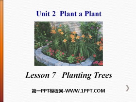 Planting TreesPlant a Plant PPTn