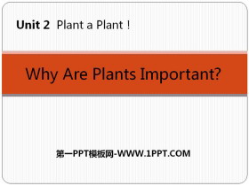 Why Are Plants Important?Plant a Plant PPTMn