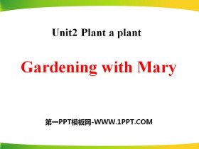 Gardening with MaryPlant a Plant PPŤWn