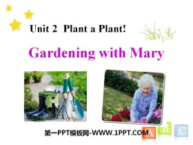 Gardening with MaryPlant a Plant PPT