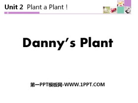 Danny's PlantPlant a Plant PPTMn