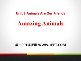 Amazing AnimalsAnimals Are Our Friends PPTnd