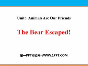 The Bear Escaped!Animals Are Our Friends PPTn