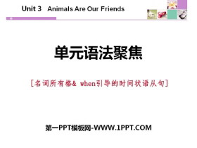 ԪZ۽Animals Are Our Friends PPT