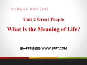 What Is the Meaning of Life?Great People PPTd
