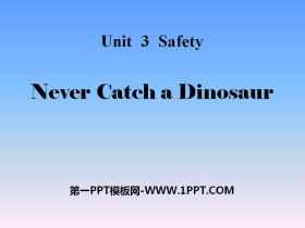 Never Catch a DinosaurSafety PPTn
