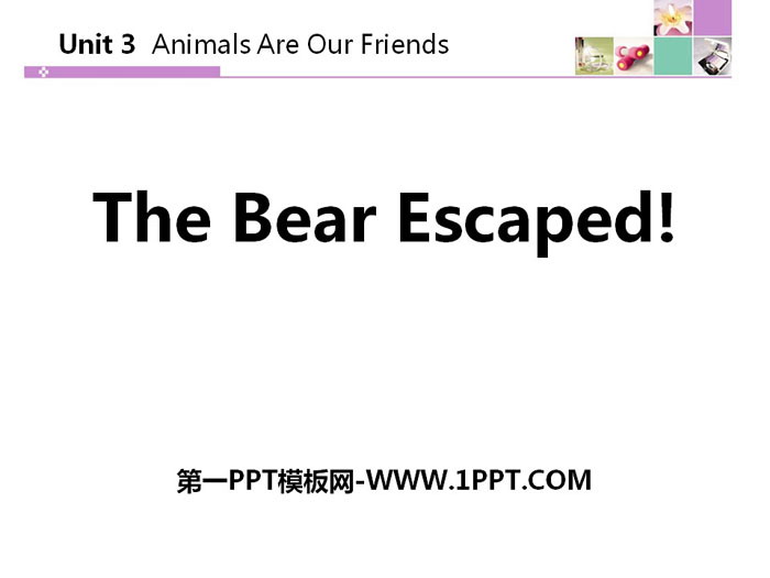 The Bear Escaped!Animals Are Our Friends PPTѧμ