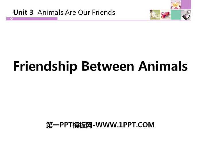 Friendship Between AnimalsAnimals Are Our Friends PPTѧμ