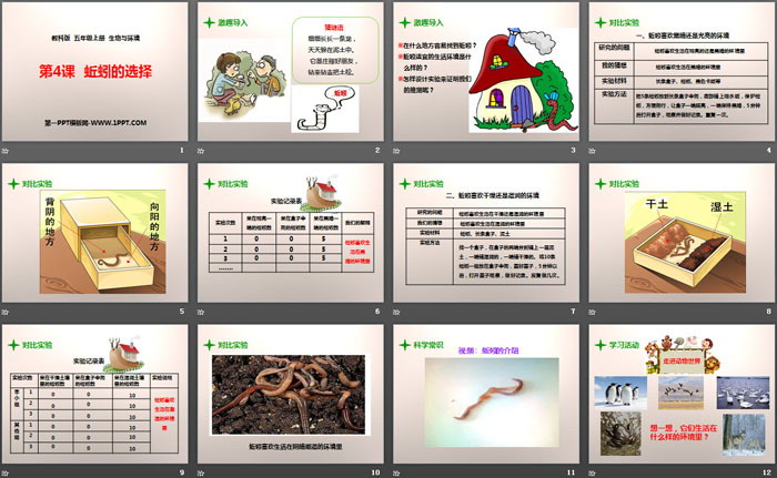 《蚯蚓的选择》生物与环境PPT下载-预览图02