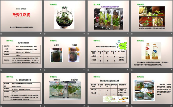 《改变生态瓶》生物与环境PPT下载-预览图02