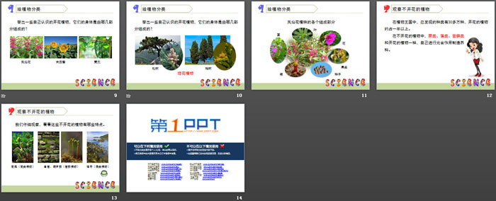 《多种多样的植物》生物的多样性PPT-预览图03