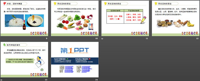 《米饭、淀粉和碘酒的变化》物质的变化PPT-预览图03
