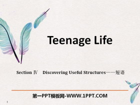 Teenage LifeDiscovering Useful Structures PPT