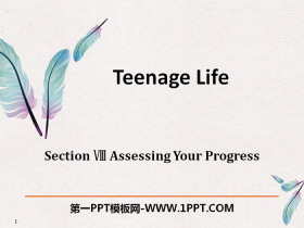 Teenage LifeAssessing Your Progress PPT
