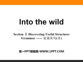 Into the wildSection PPT