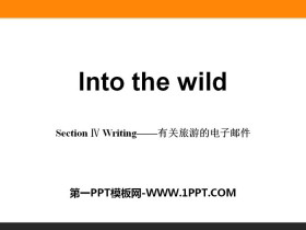 Into the wildSection PPT