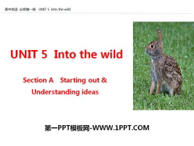 Into the wildSection A PPT