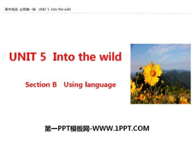 Into the wildSection B PPT