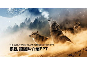 狼群背景的狼性团队文化PPT模板