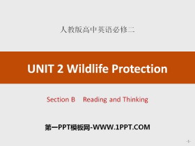 Wildlife ProtectionSection B PPT
