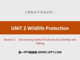Wildlife ProtectionSection C PPT
