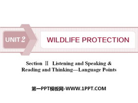 Wildlife ProtectionSection PPT