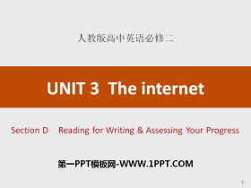 The internetSection D PPT
