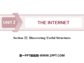 The internetSection PPT
