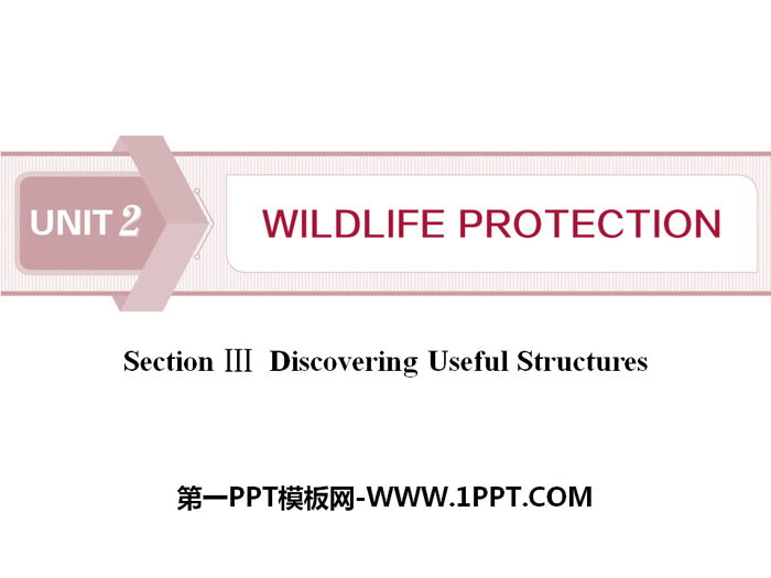 Wildlife ProtectionSection PPT