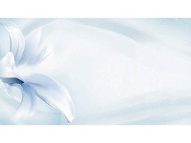 蓝色淡雅花卉PPT背景图片
