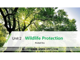 Wildlife ProtectionPeriod Two PPT