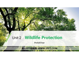 Wildlife ProtectionPeriod Four PPT