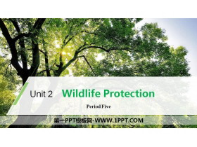 Wildlife ProtectionPeriod Five PPT