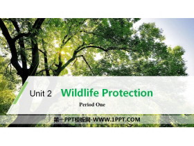 Wildlife ProtectionPeriod One PPT