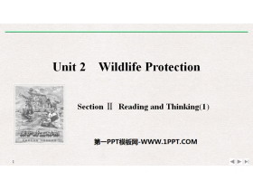 Wildlife ProtectionSection PPTn