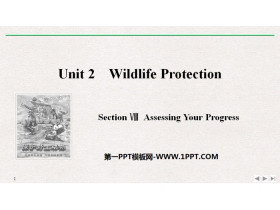 Wildlife ProtectionSection PPTn
