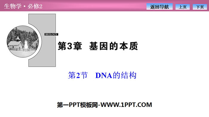 《DNA的结构》基因的本质PPT课件-预览图01