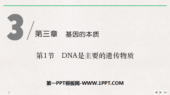 《DNA是主要的遗传物质》基因的本质PPT下载-预览图01