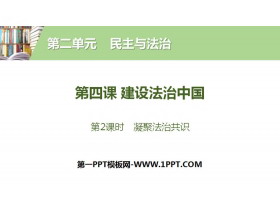 《建设法治中国》民主与法治PPT(第2课时凝聚法治共识)