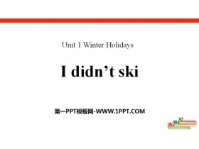 I didn't skiWinter Holidays PPT