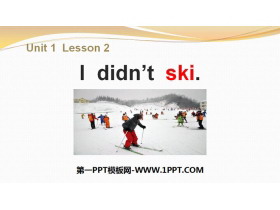I didn't skiWinter Holidays PPTn