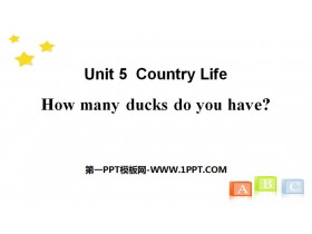 How many ducks do you have?Country Life PPTn