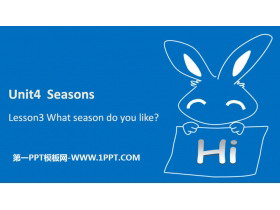 What season do you like?Seasons PPT
