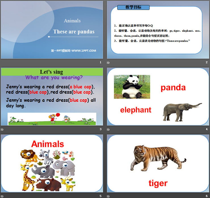 These are pandasAnimals PPT