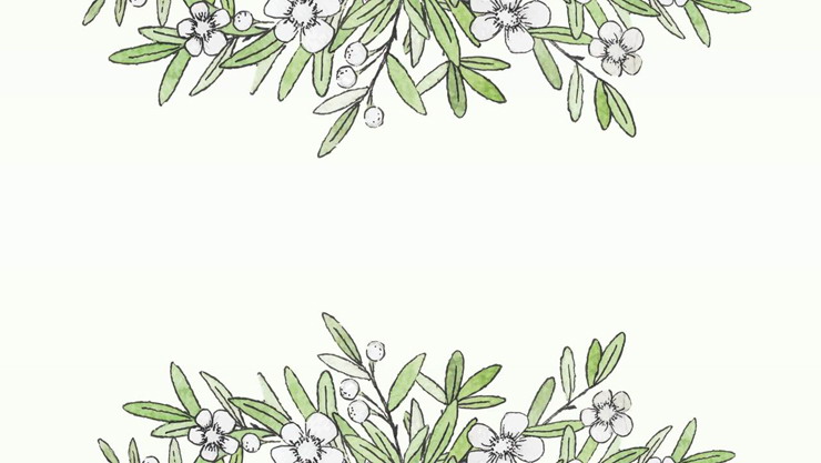四张水彩绿叶白花植物PPT背景图片（清新绿色水彩叶子PPT背景）