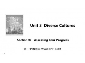 Diverse CulturesSection PPTμ