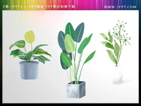 三张绿色水彩盆景植物PPT素材