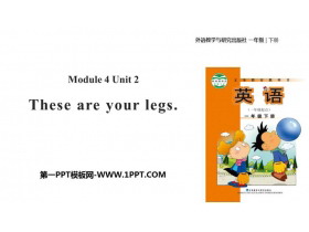 These are your legsPPT