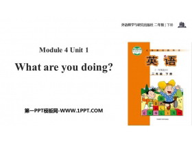 What are you doing?PPT